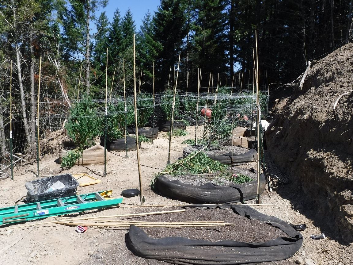 Search Warrant - Case 201603973